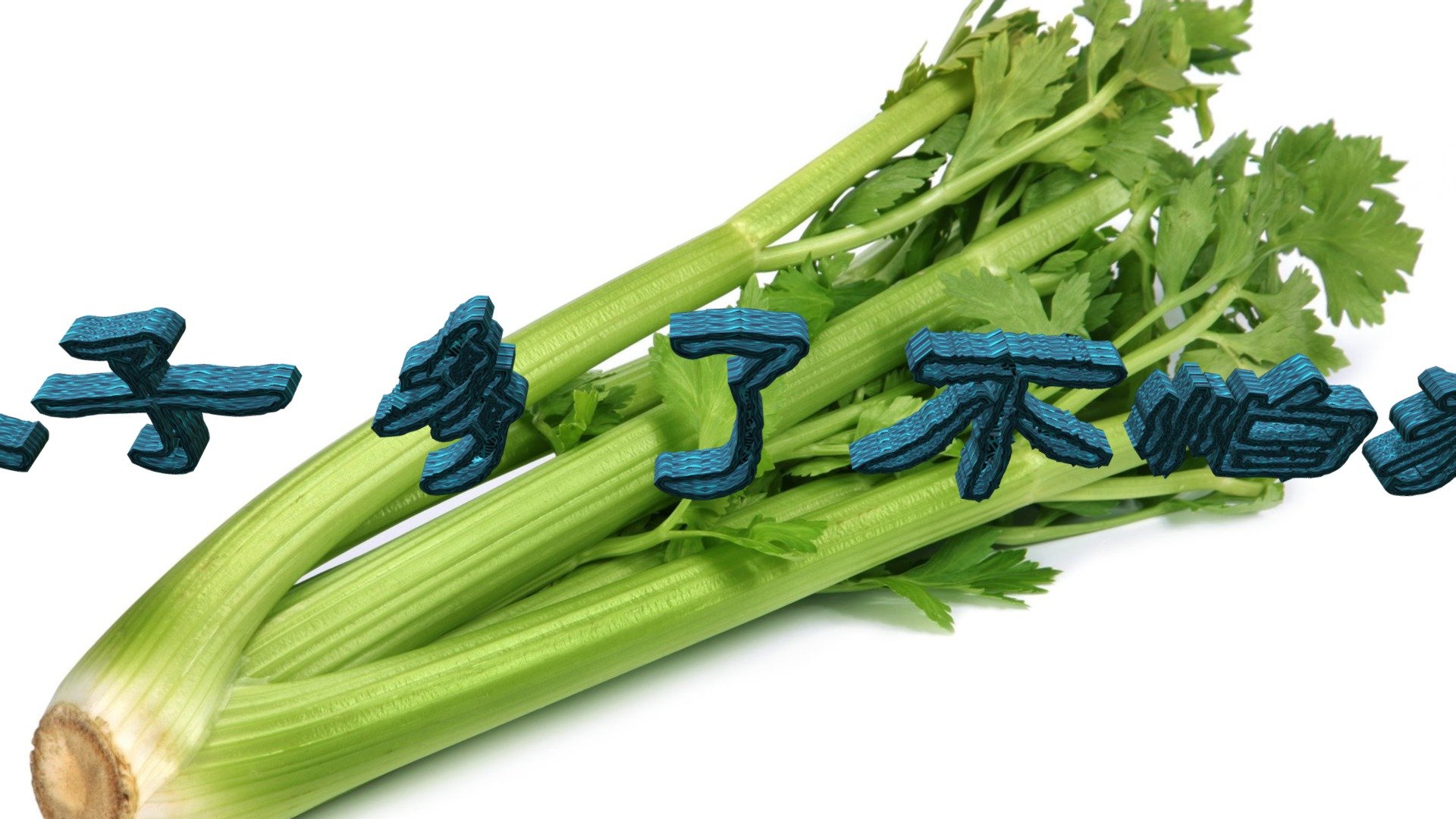 108-02-19-【耗子多了不怕貓】(2019)