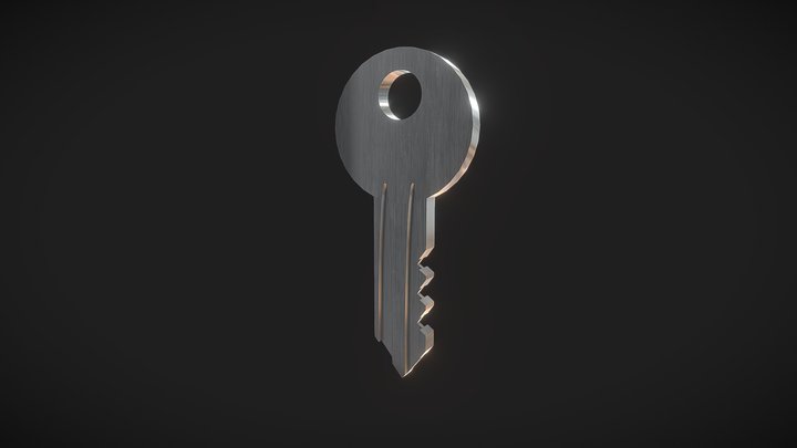 Metal Door Key