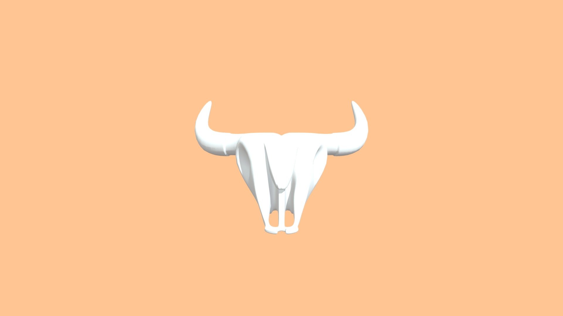 Bull Skull