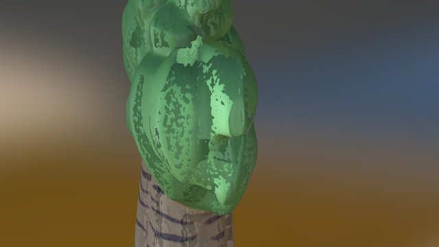Palm Tree OBJ Shaded Removal 3D Model