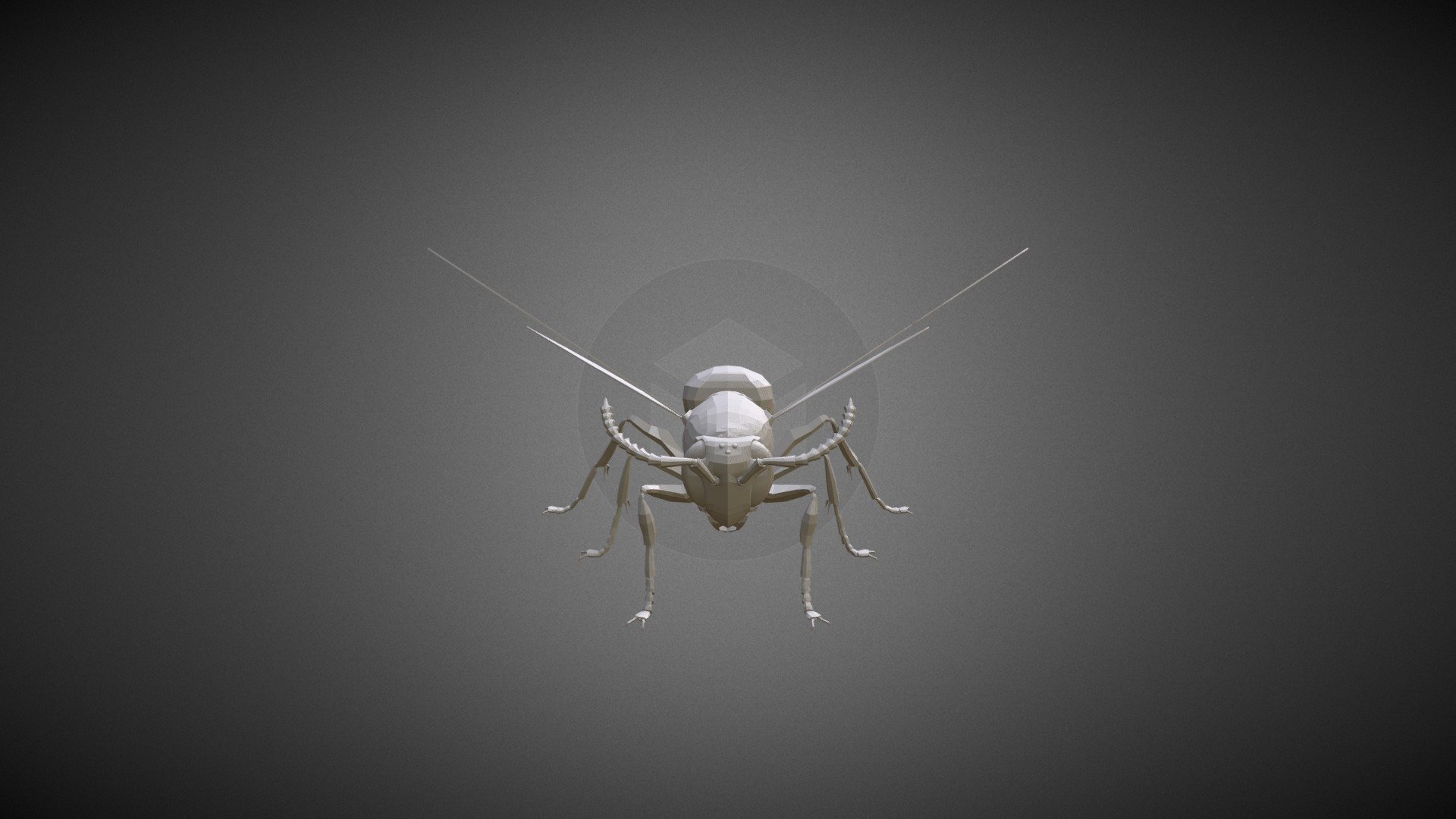 Insecte - 3D model by AlanGuimont [946c2f9] - Sketchfab