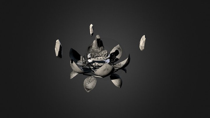Lotus 3D Model