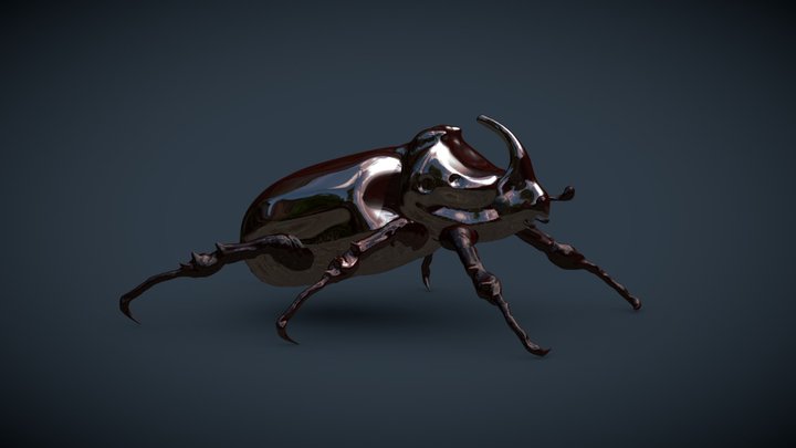 Rhinoceros Beetles 3D Model