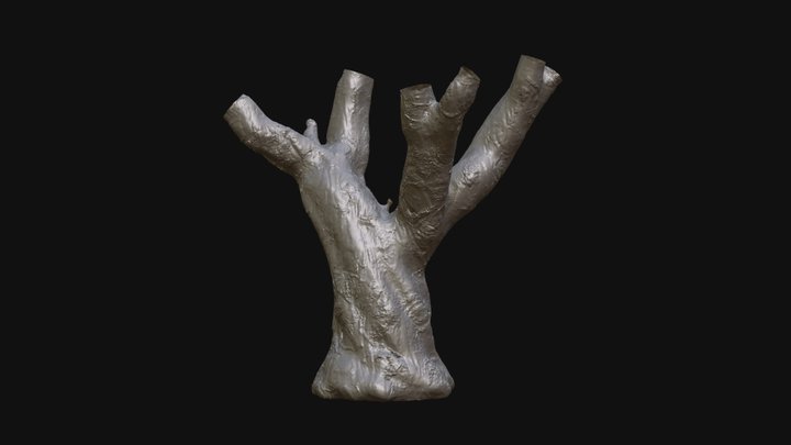 Tree Trunk 02 3D Model