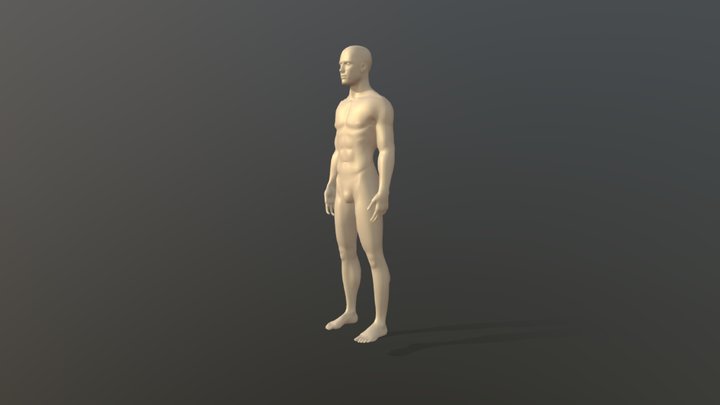 Ultimate Fight Starter Pack (FS Basic) 3D Model