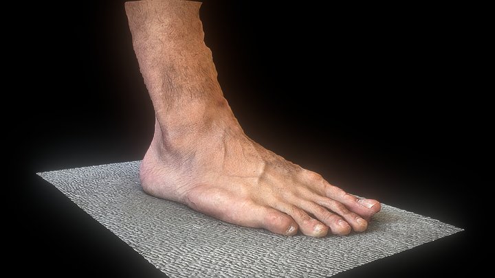 Hamid's Foot 3D Model