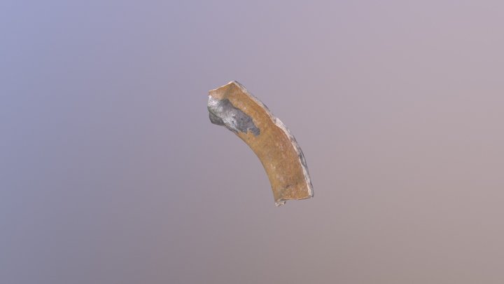 first 3D Model