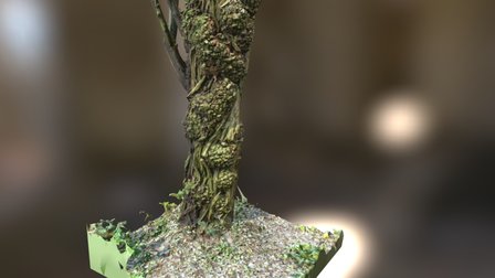 Treetrunk (wip) 3D Model