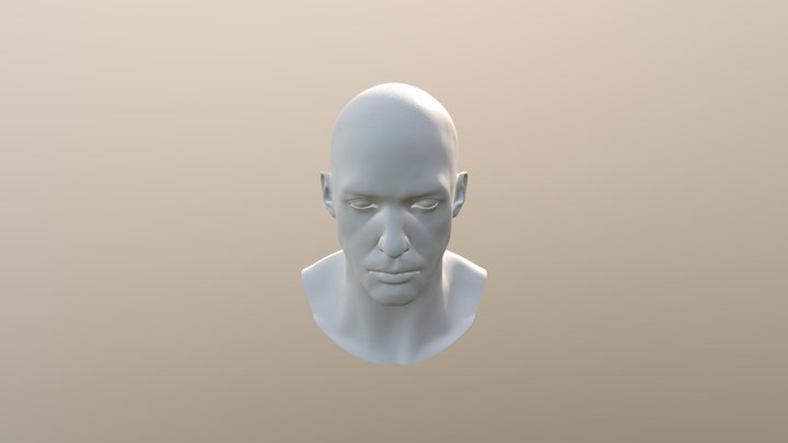 HEAD ZREMESHER2 3D Model