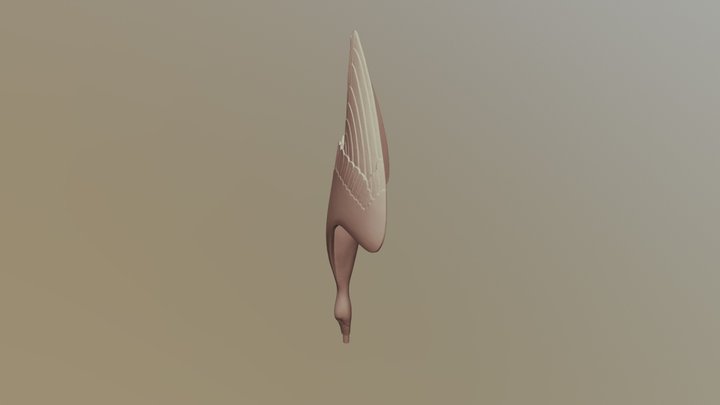 Tom Leaper Gannet 3D Model