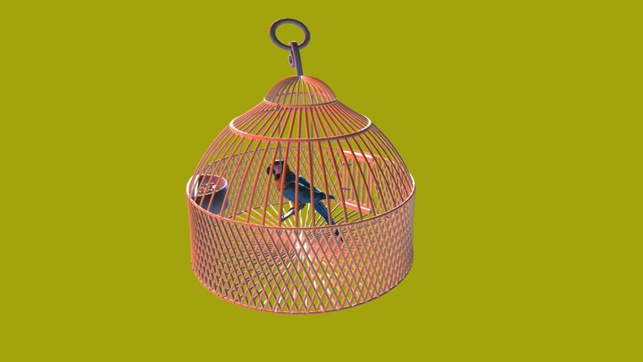 Parrot in Cage 3D Model