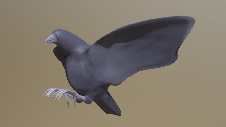 Hawaiian Crow ʻalalā Fly 3D Model