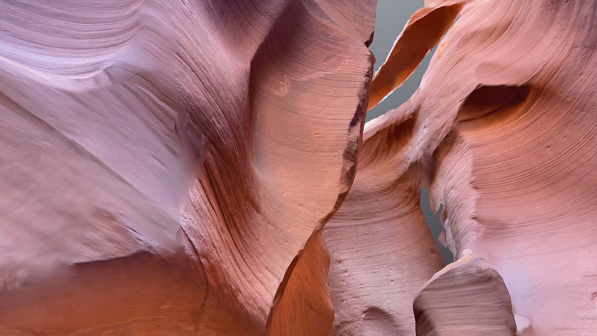 Antelope for fun 4