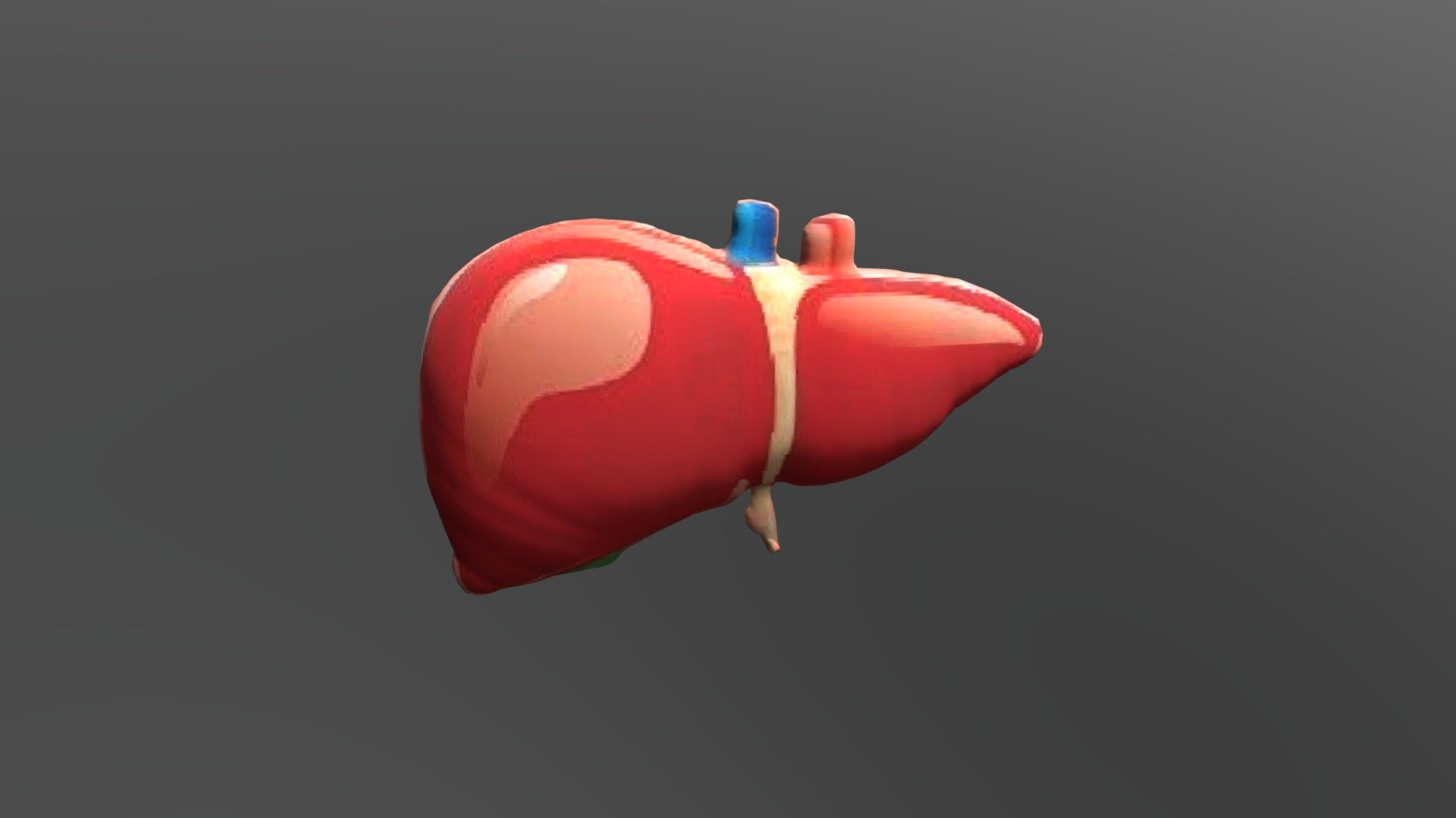 Hati - 3D model by adhesoeryadie [948aedc] - Sketchfab