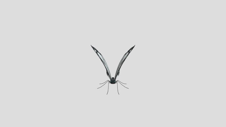 White Hope Butterfly 3D Model