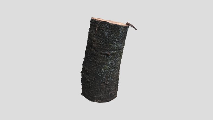 FREE Wood log Photogrammetry 3D Model