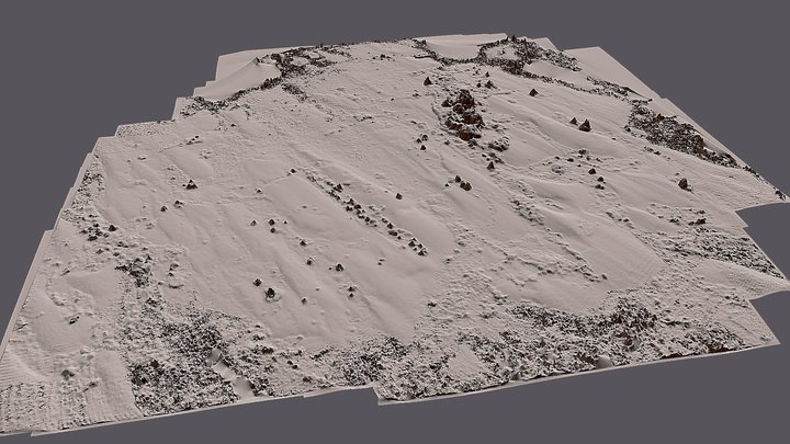 Henvey Inlet Flat Island decimated 50/100 3D Model