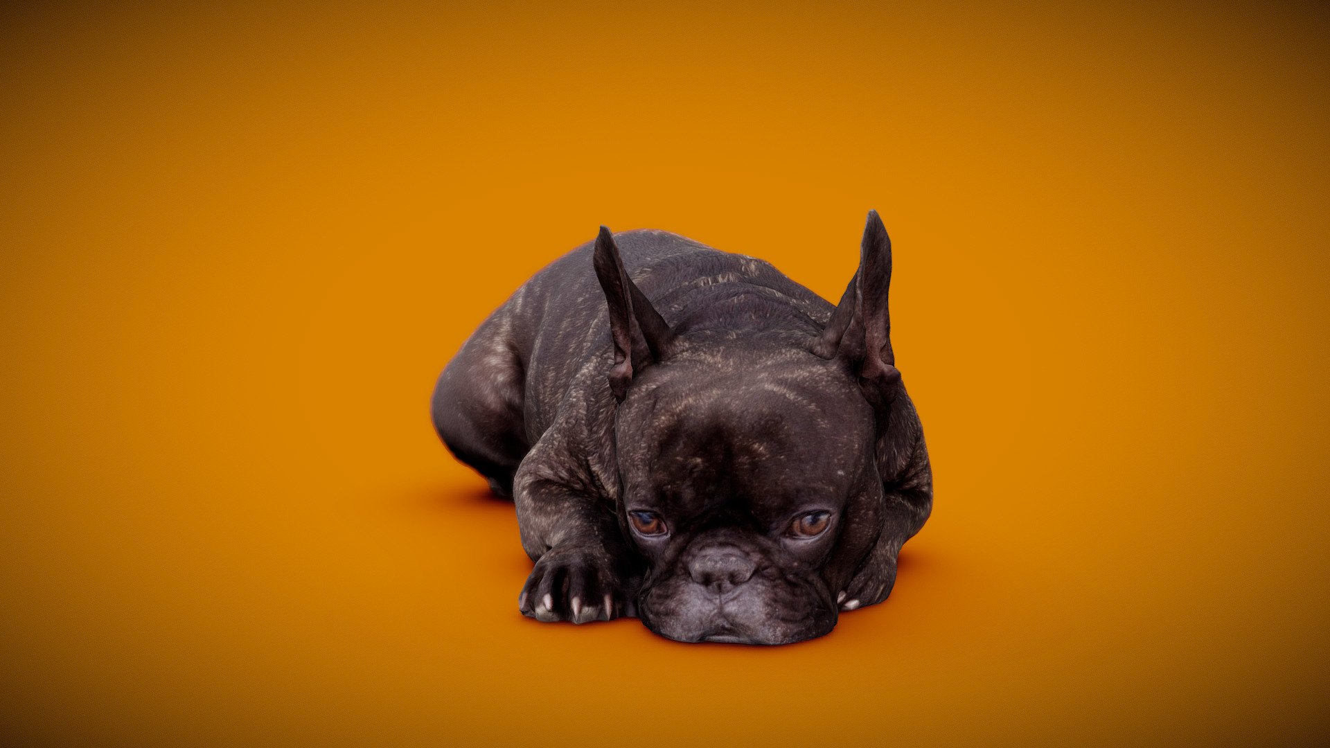 DOG B - 13of13 - Buy Royalty Free 3D model by Frank.Zwick (@Frank_Zwick ...