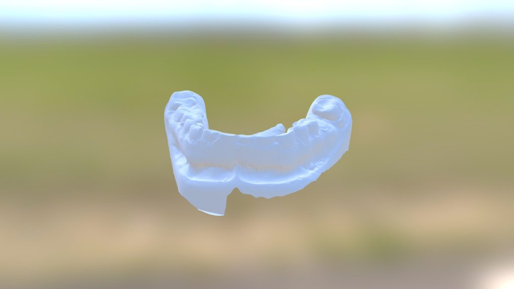 Tres Lower Jaw