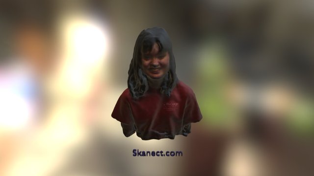 Skanect_v3 3D Model
