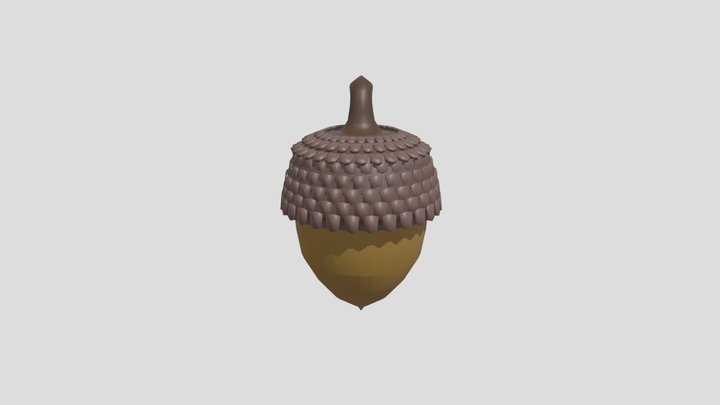 22_acorn 3D Model
