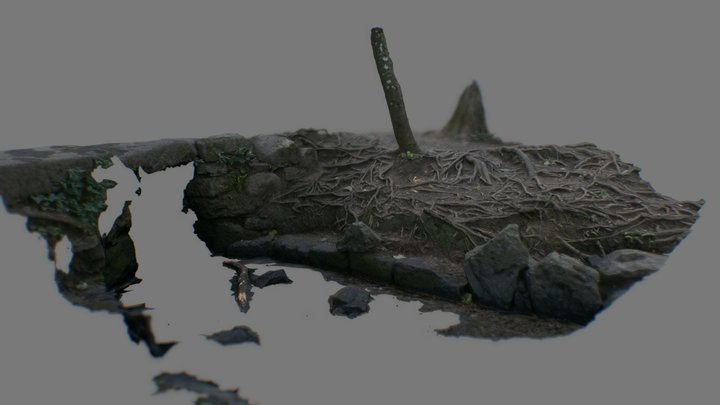 Tehidy riverside roots 3D Model