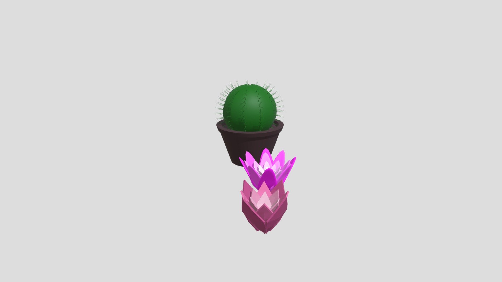 Cactus and Flowers