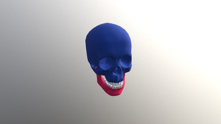 Skull Animation 3D Model