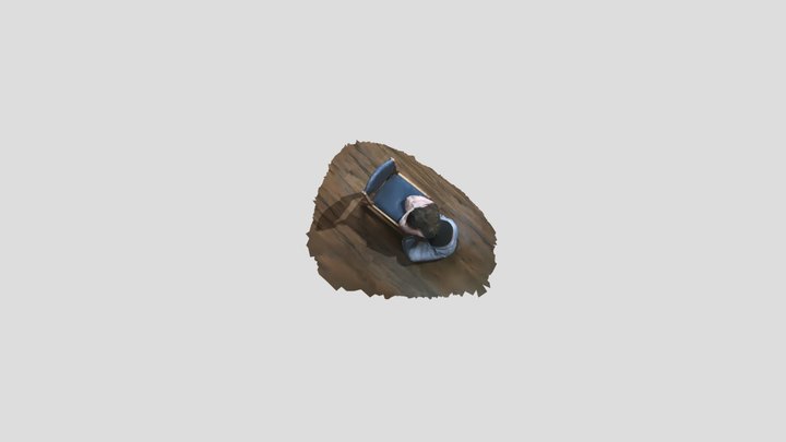 2post-elecion Blues2 3D Model