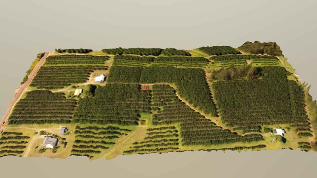 Macadamia farm Sunshine Coast (3) 3D model by qlddrones [94a0263