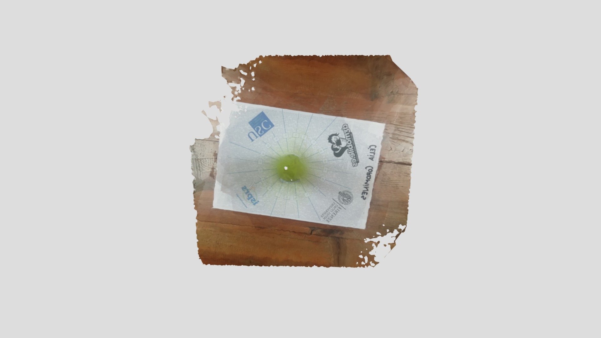 papilla de poma