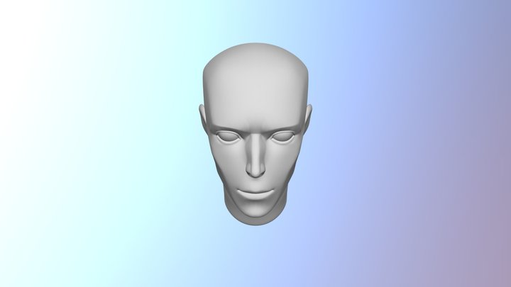 Head 3D Model