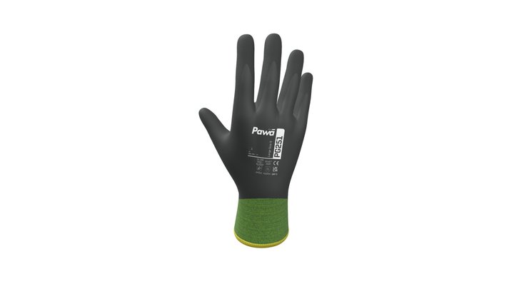 PG251 3D Model