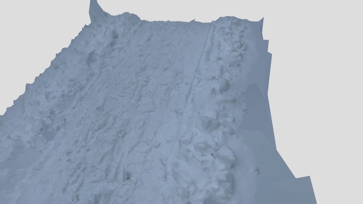 Snowy road 3D Model