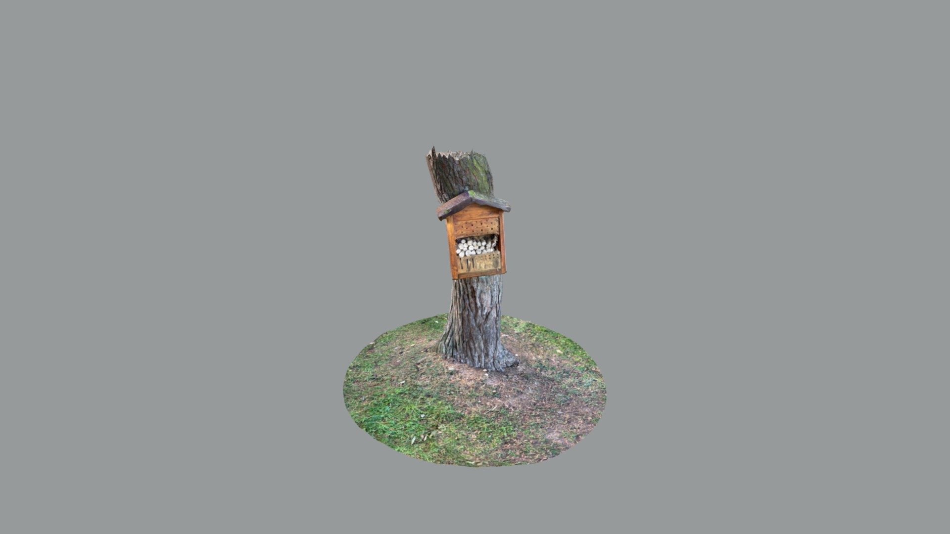 Baum mit Insektenhotel
