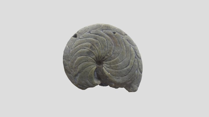 test for teaching 3D Model