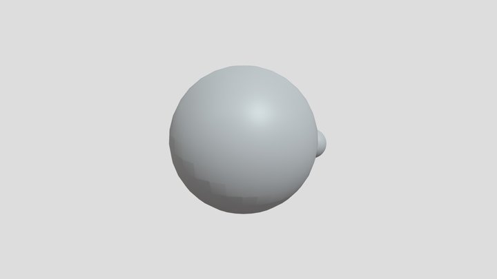 Belly Model 3D Model
