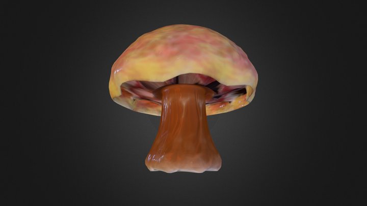 Hongo Para Zbrrverde 3D Model