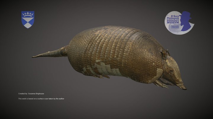 Armadillo – Kostenloses 3D-Modell STL