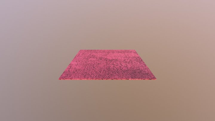 Carpetfinal 3D Model