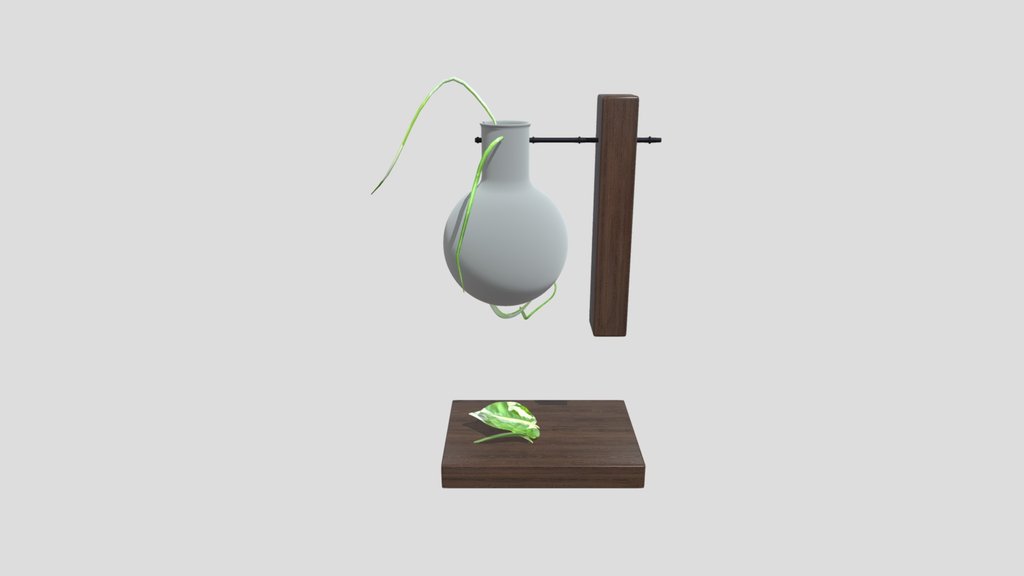 Ivy Plant In Glass Flask