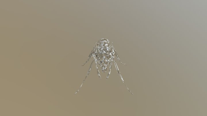 Ant 3D Model
