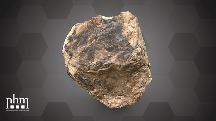 Silicified wood (NHMW-GEO-2024/0188/11592) – Kostenloses 3D-Modell STL