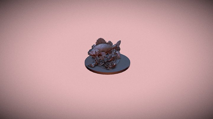 Окунь в водоёме на дне (Лайт) 3D Model