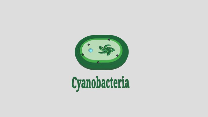 Microughs_ Cianobacteria_AMN 3D Model