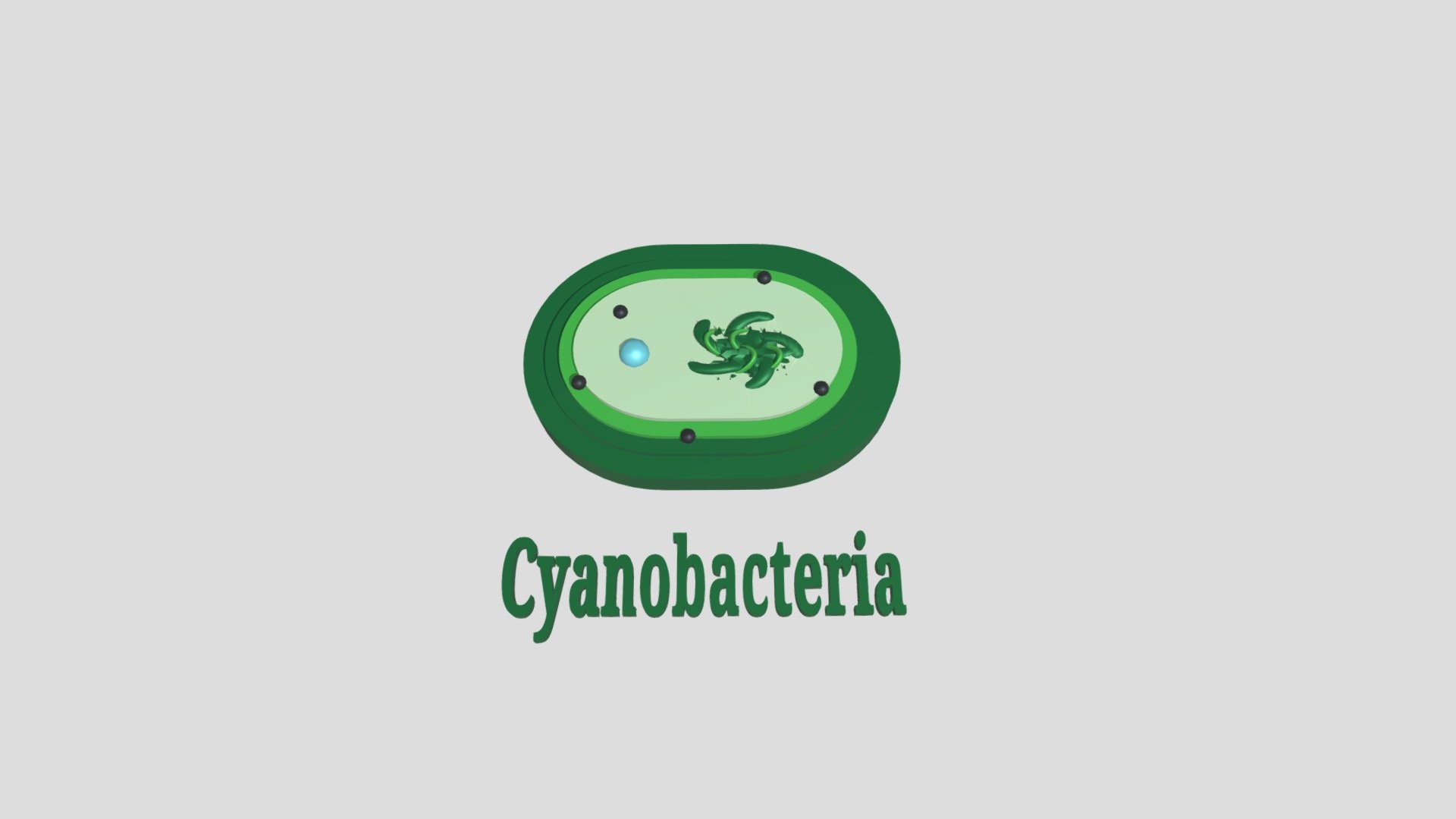 Microughs_ Cianobacteria_AMN