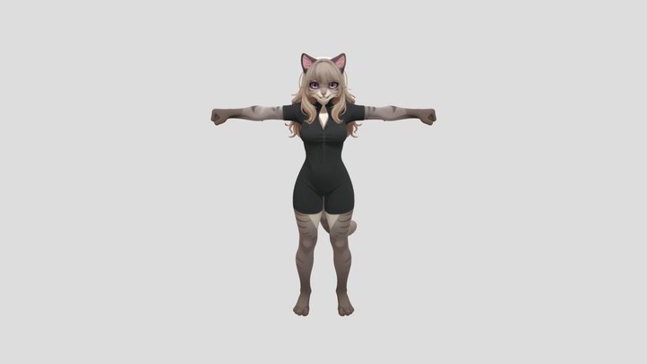 Cat furry girl 3D Model