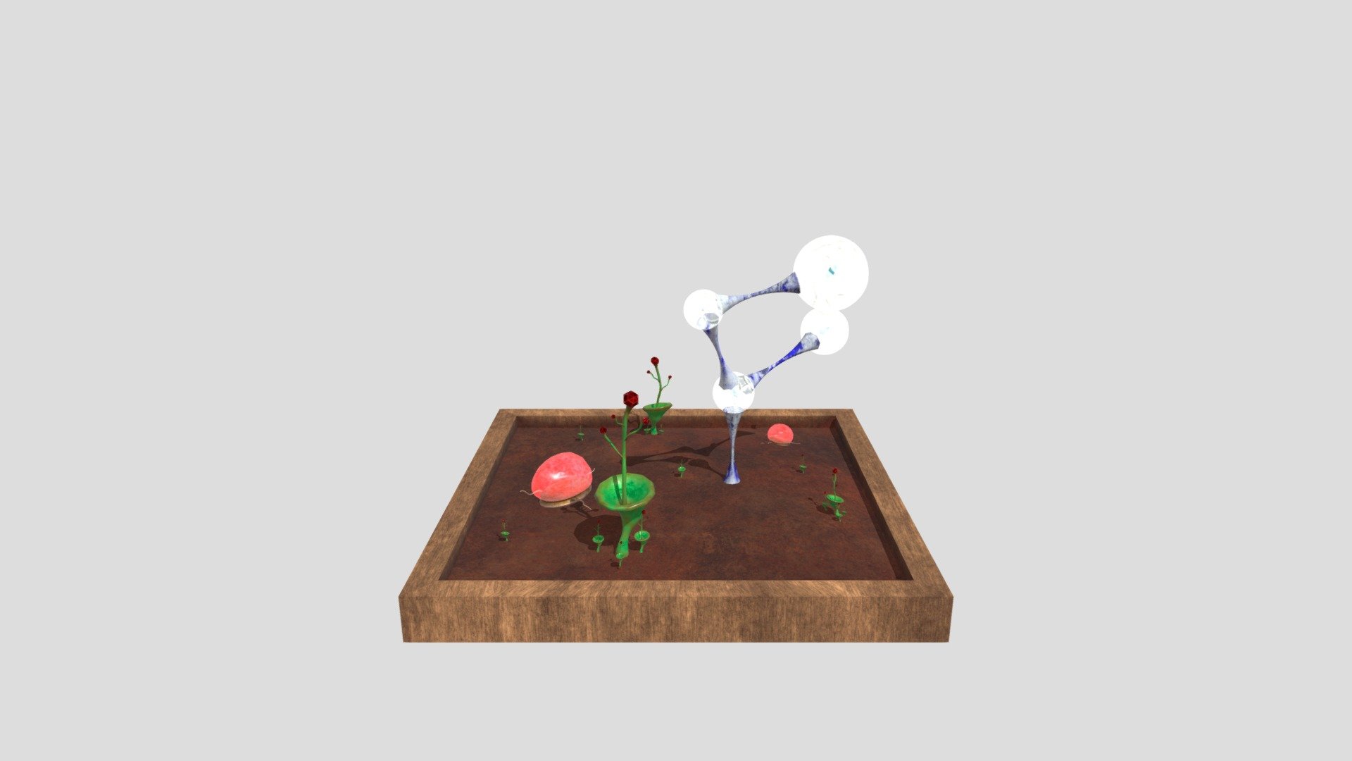 Plants_Final