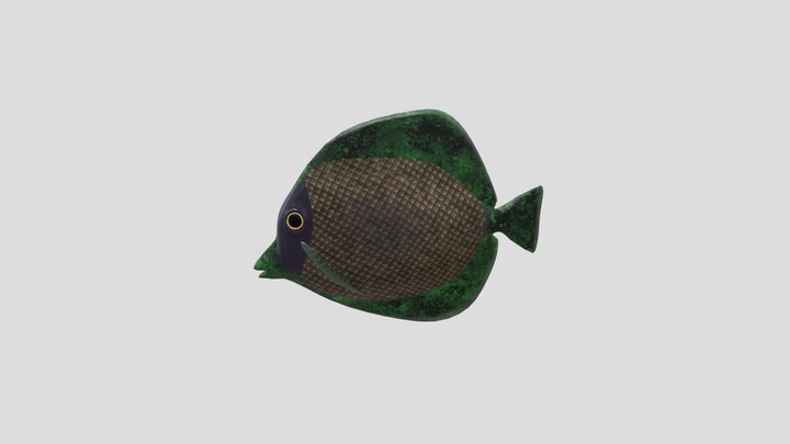 Merced Dark Fish 3D Model