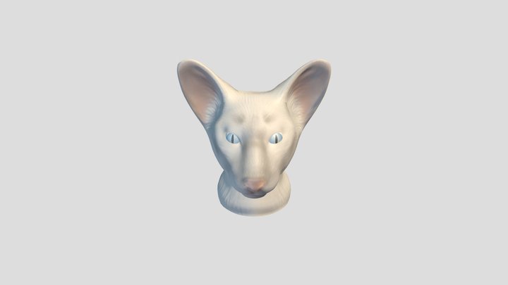 Katt byst 3D Model